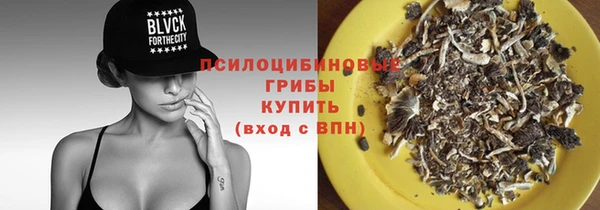 эйфоретик Белокуриха