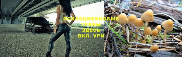 герыч Беломорск