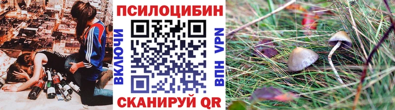 купить наркоту  Каменск-Уральский  ОМГ ОМГ   Псилоцибиновые грибы MAGIC MUSHROOMS 